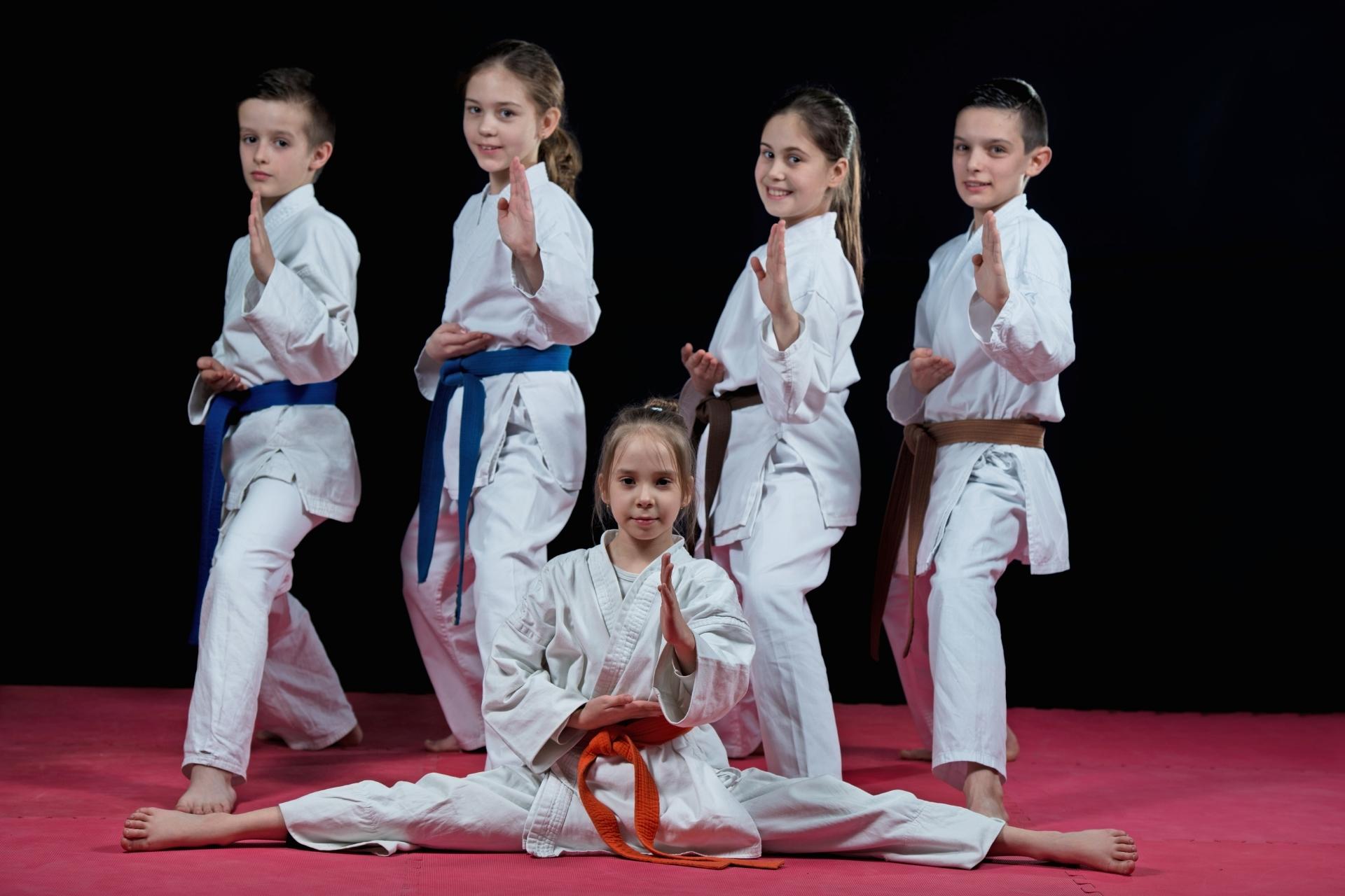 //karategalatsi.gr/wp-content/uploads/2018/02/junior-tmimata.jpeg